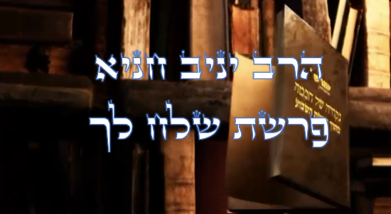 נקודה של חכמה פרשת שלח לך.png
